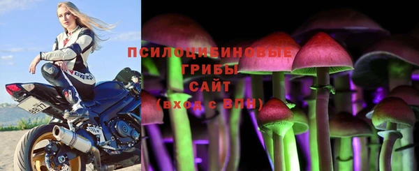 спиды Инсар