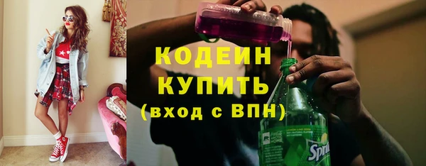 apvp Инта