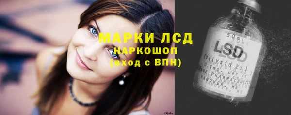 спиды Инсар