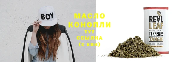 спиды Инсар