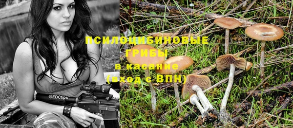 PSILOCYBIN Иннополис