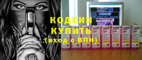 apvp Инта