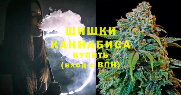спиды Инсар