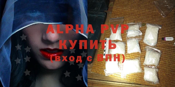 apvp Инта