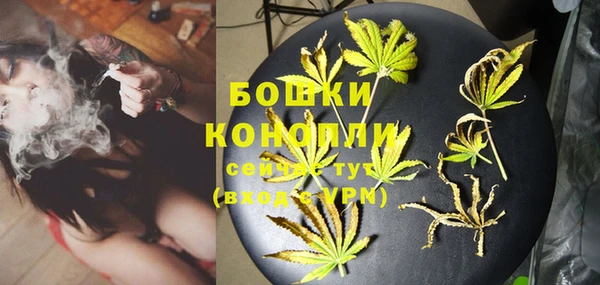 спиды Инсар