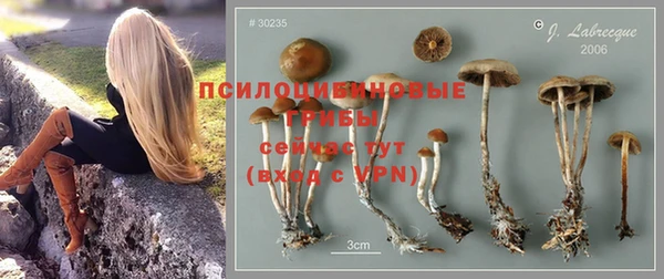 PSILOCYBIN Иннополис