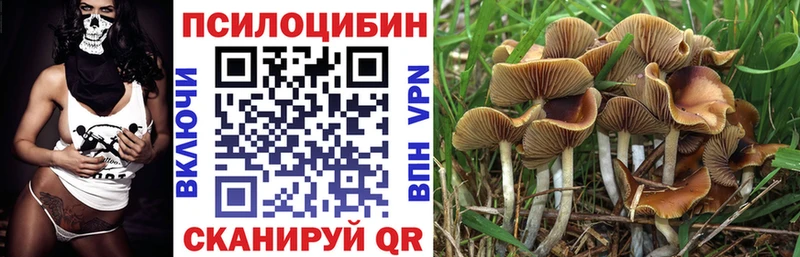 Купить где  Добрянка  Галлюциногенные грибы MAGIC MUSHROOMS 